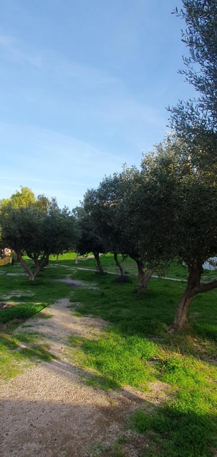 Sea & Mountain Apartment Close To Port And City Lavrion Luaran gambar